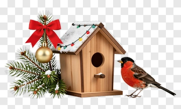 Red Bird Next To Wooden Birdhouse PNG