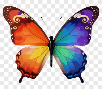 Rainbow Butterfly PNG
