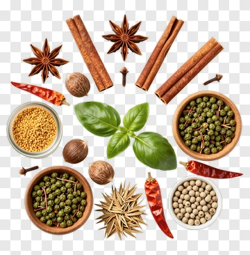 Arrangement Of Spices And Herbs PNG
