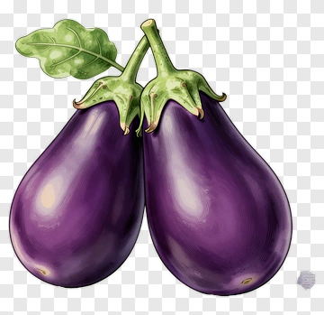 Two Eggplants With Green Leaves PNG
