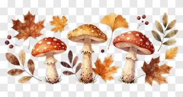 Autumn Mushrooms And Leaves PNG