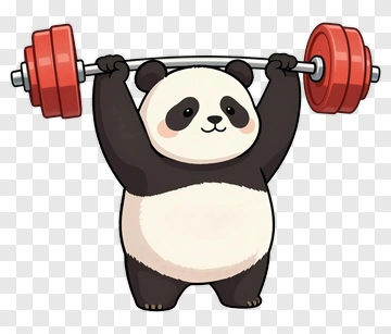 Panda Lifting Barbell PNG