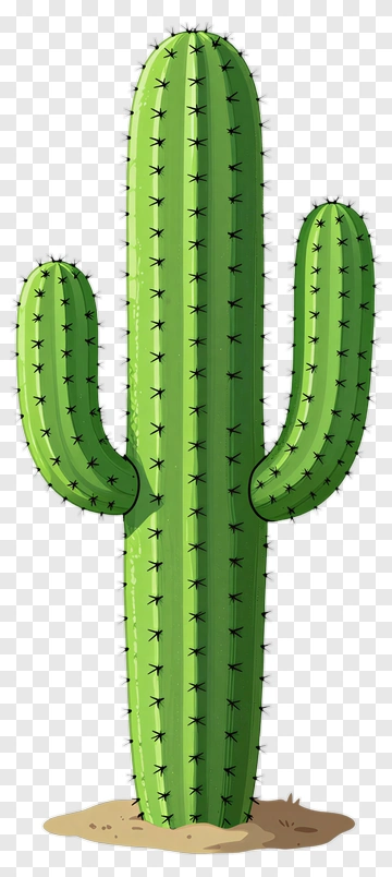 Cactus With Spines And Sand PNG