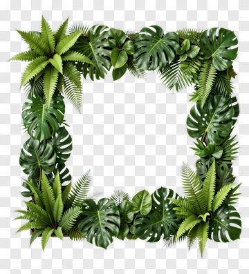 Tropical Plant Frame With Monstera And Fern PNG