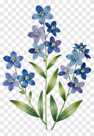 Blue Flower With Green Leaves PNG