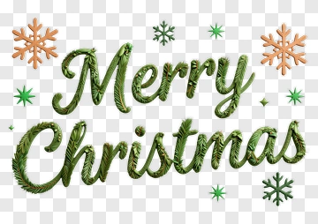 Merry Christmas With Pine Needle Letters PNG