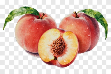 Fresh Peach With Leaf PNG
