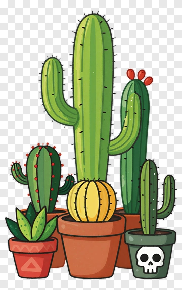 Cactus Collection With Skull Pot PNG