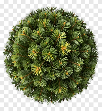 Pine Ball With Green And Yellow Needles PNG