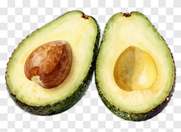 Sliced Avocado PNG