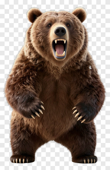 Brown Bear Standing With Open Mouth PNG