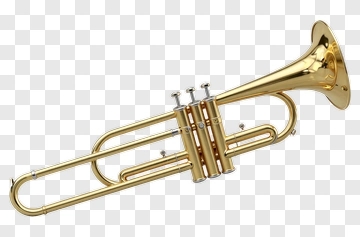 Golden Trumpet PNG