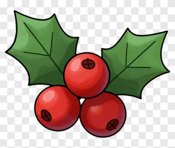 Holly Berries PNG
