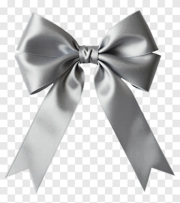 Silver Silk Bow PNG