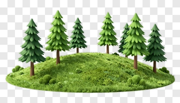 Pine Trees On Grass Hill PNG