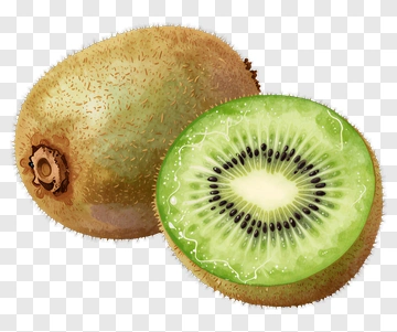 Watercolor Kiwi Fruit PNG
