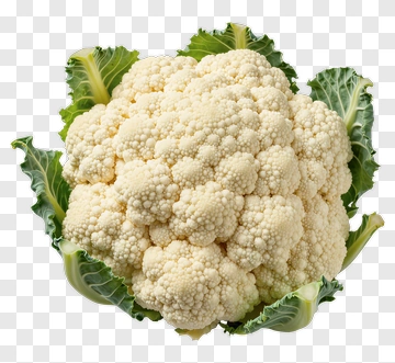 Fresh Cauliflower With Green Leaves PNG