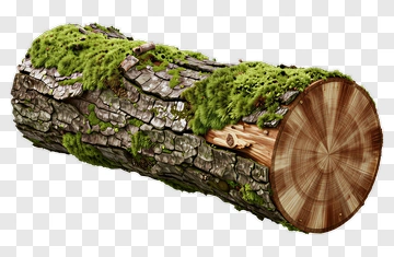 Moss Covered Log PNG