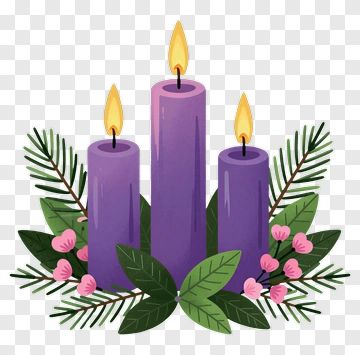 Three Purple Candles With Pine And Berries PNG
