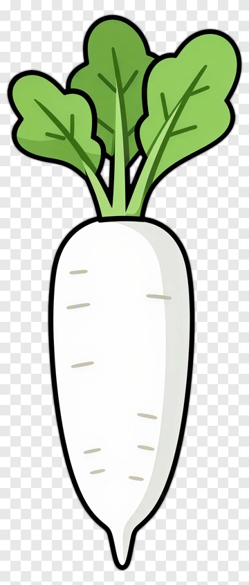 Cartoon Radish PNG