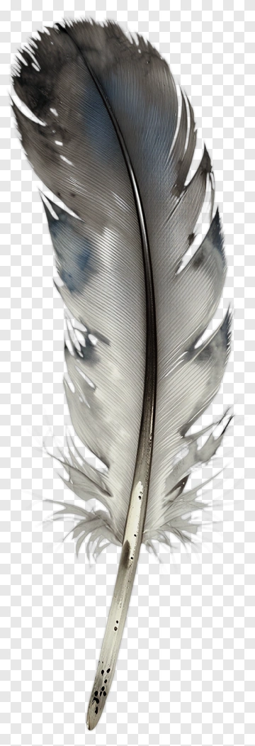 Watercolor Feather PNG