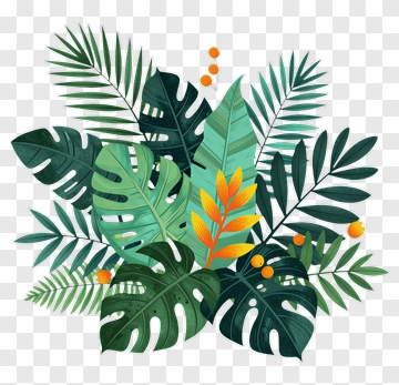 Tropical Leaves And Orange Flower PNG