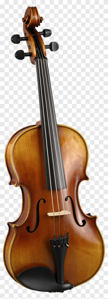 Violin PNG