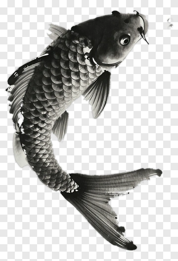 Black And White Fish PNG