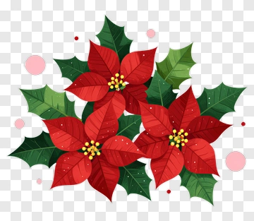 Red Poinsettia With Green Leaves PNG