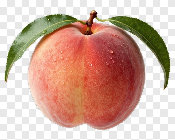 Fresh Peach With Leaf And Dew PNG