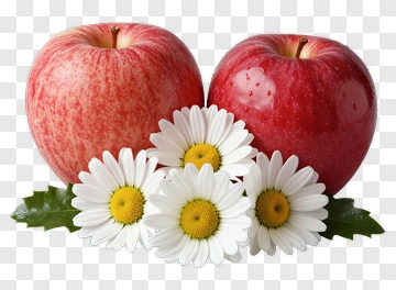 Red Apples With White Daisy Flowers PNG