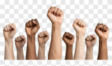 Raised Fists Of Diversity PNG