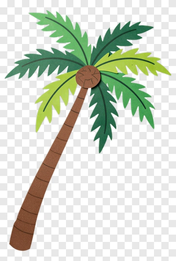 Palm Tree PNG