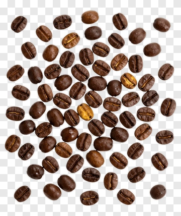 Coffee Beans PNG