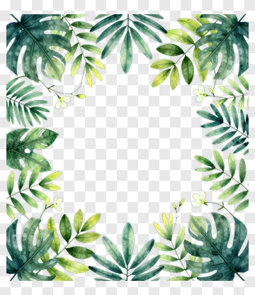 Tropical Leaves Border Design PNG