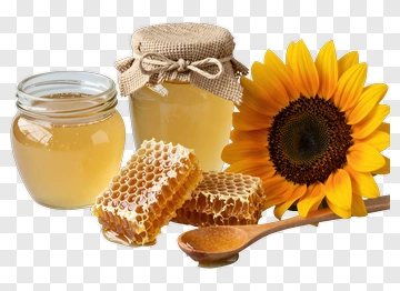 Honey Sunflower Honeycomb PNG