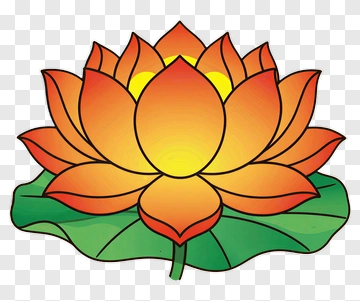 Lotus Flower With Leaf PNG