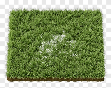 Green Grass With Soil PNG
