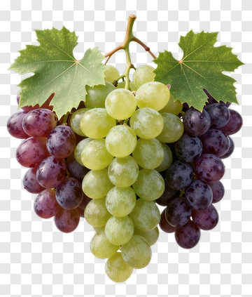 Cluster Of Mixed Color Grapes PNG
