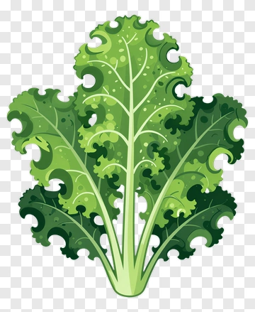 Kale PNG