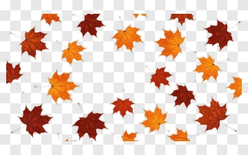 Fall Maple Leaves Pattern PNG