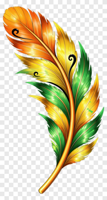 Colorful Feather PNG