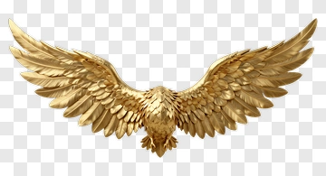 Golden Eagle With Spread Wings PNG