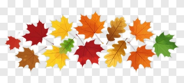 Autumn Leaves Collection PNG