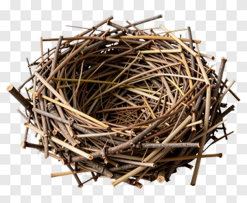 Bird Nest PNG