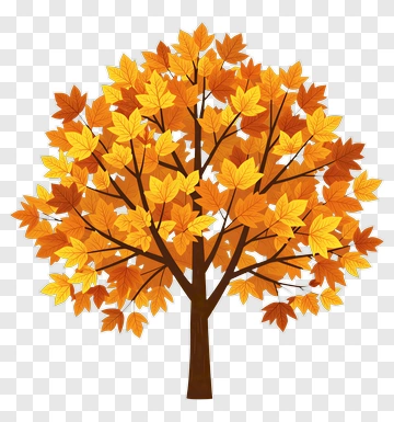 Autumn Maple Tree With Vibrant Leaves PNG
