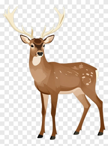 Stag With Antlers PNG