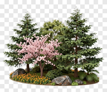 Cherry Blossom And Pine Trees Garden PNG
