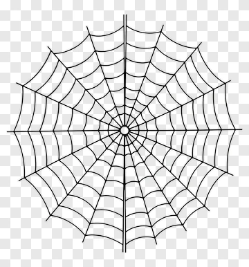Spider Web PNG