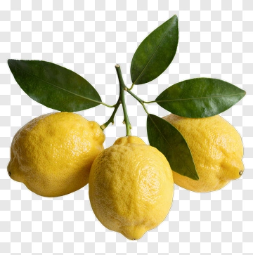Three Lemons With Green Leaves PNG